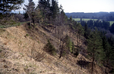 Litzauer Schleife am Lech