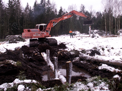 Renaturierungsarbeiten im Schwarzlaichmoor