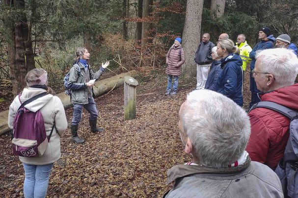 Exkursion in den Eibenwald