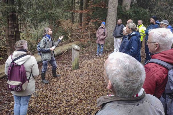 Exkursion in den Eibenwald