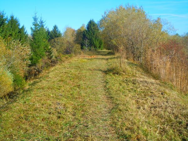 Peitinger Schlammweiher Peitinger Schlammweiher