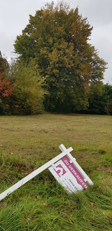 Ursprünglicher Bestand | Foto: Hannelore Jaresch