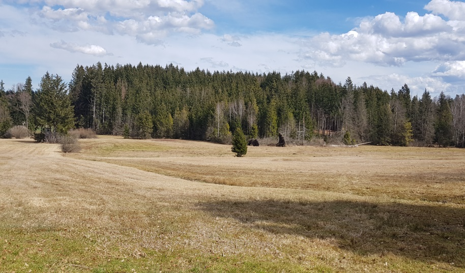 Foto: Hannelore Jaresch