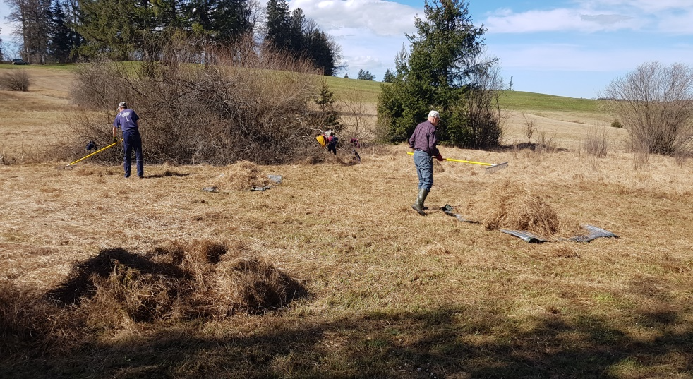 Foto: Hannelore Jaresch