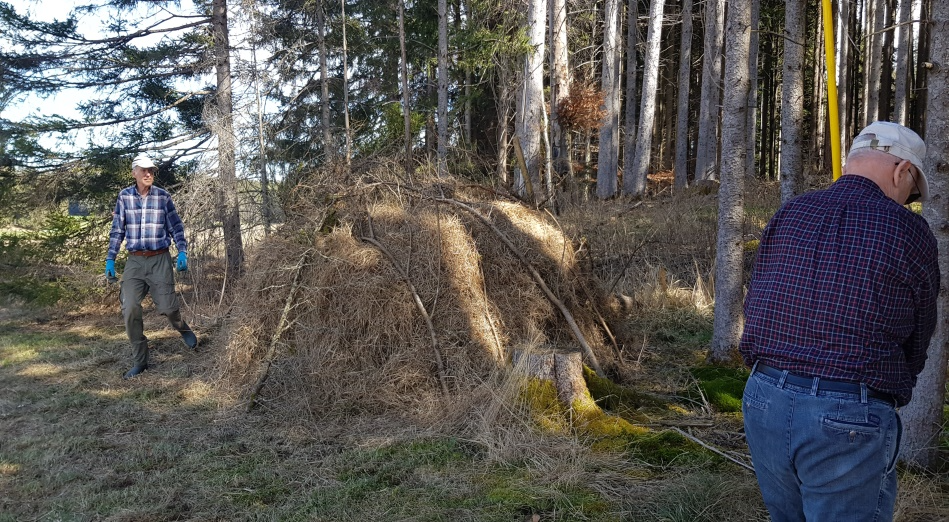 Foto: Hannelore Jaresch