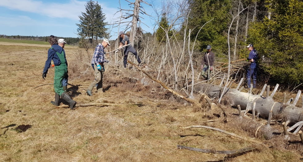 Foto: Hannelore Jaresch