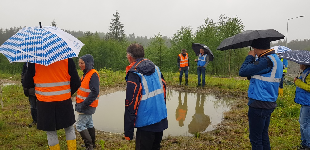 Ersatzbiotop für Amphibien | Foto: Hannelore Jaresch
