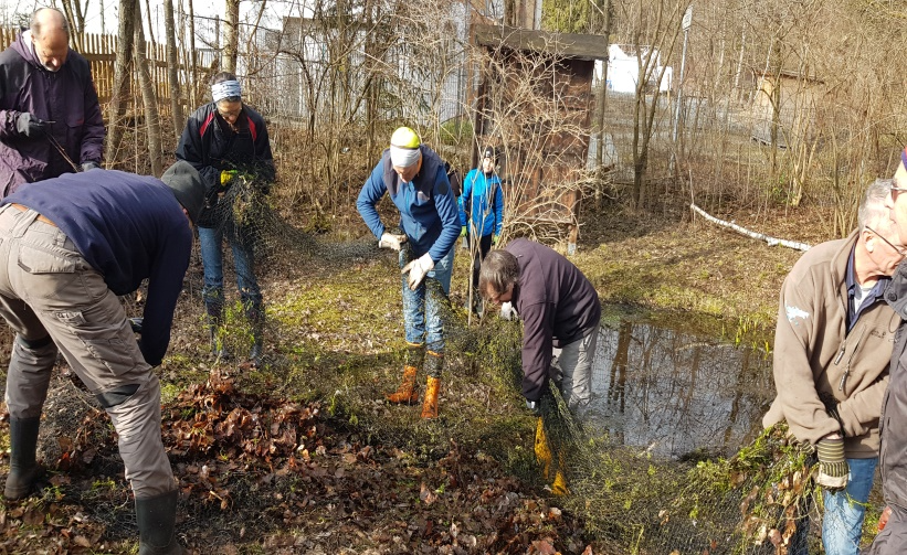 Suche nach Lebewesen | Foto: Hannelore Jaresch