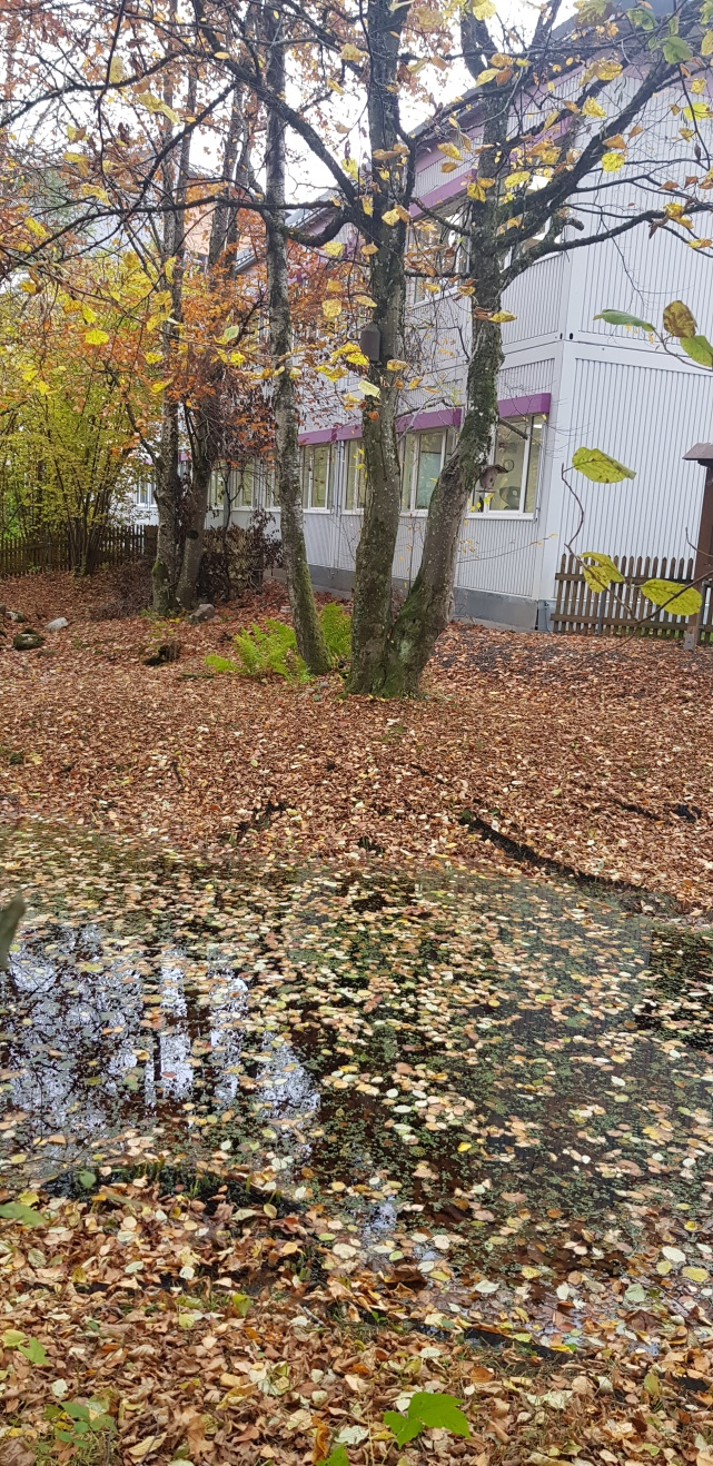 Mit Netzen abgedeckt | Foto: Hannelore Jaresch