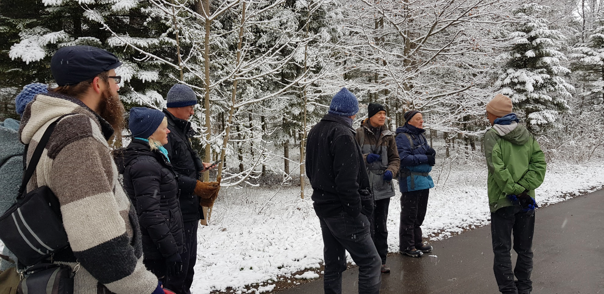 Menschengruppe im Wald