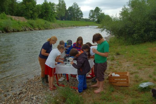 Umweltbildung am Fluss